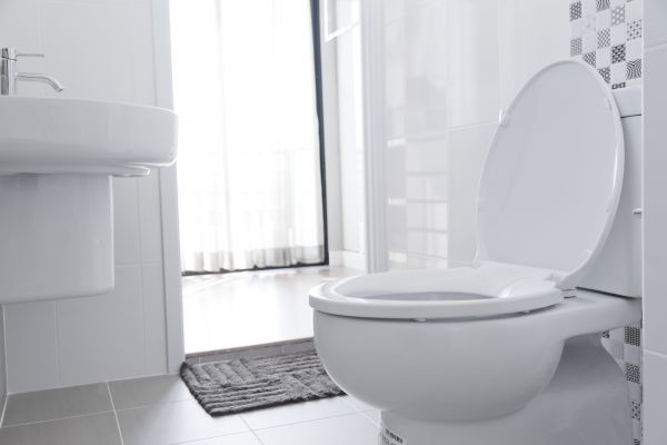 Cost of Toilet Relocation in San Jose